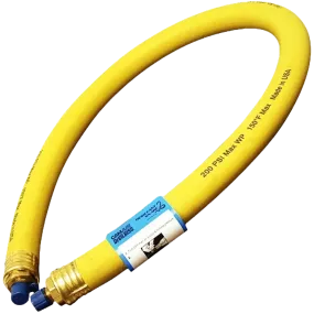DeVilbiss 130502 CAMAIR DS20 Desiccant Snake Point-Of-Use Dryer
