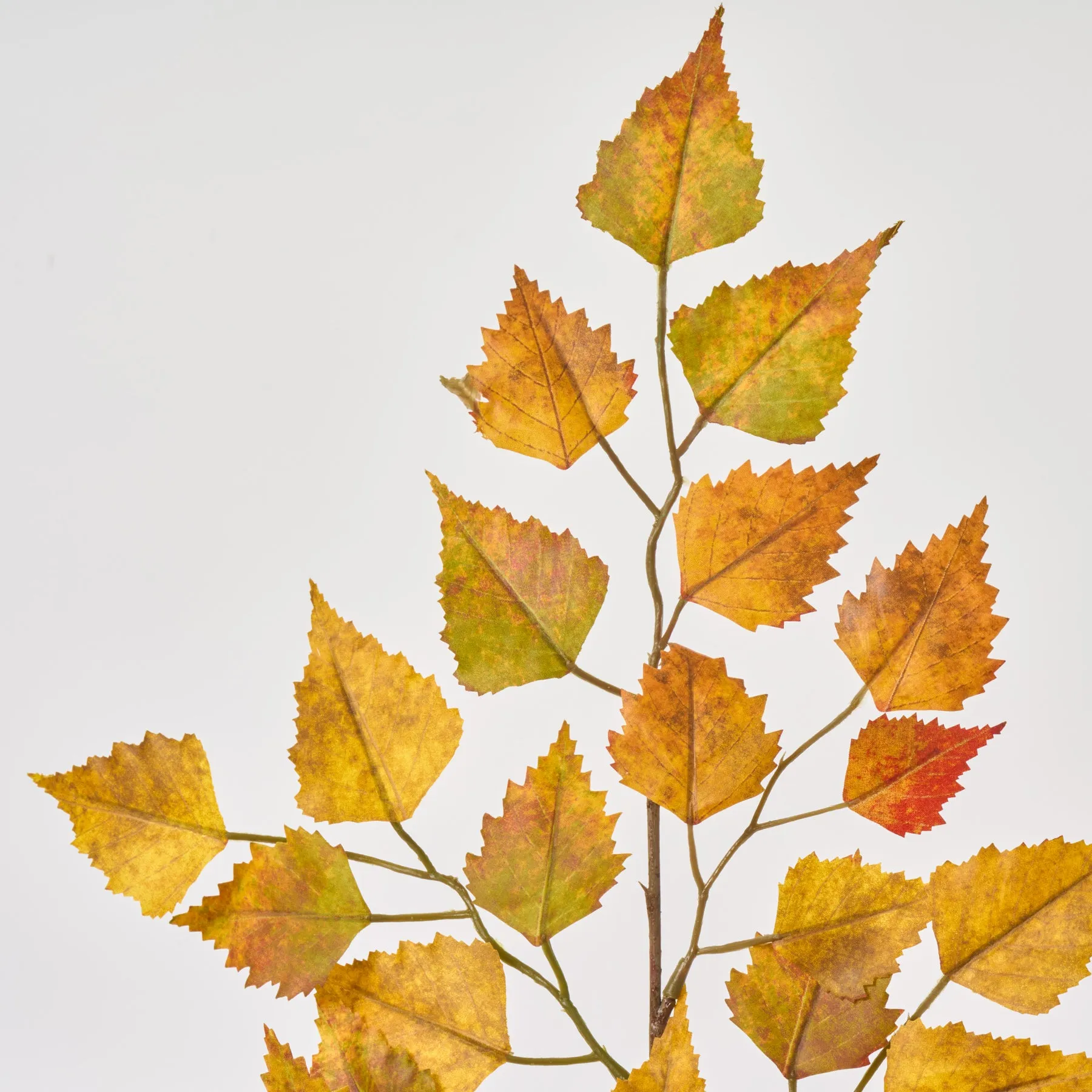Fall Orange Birch Leaf Branch Faux Autumn Foliage Spray  - 26"